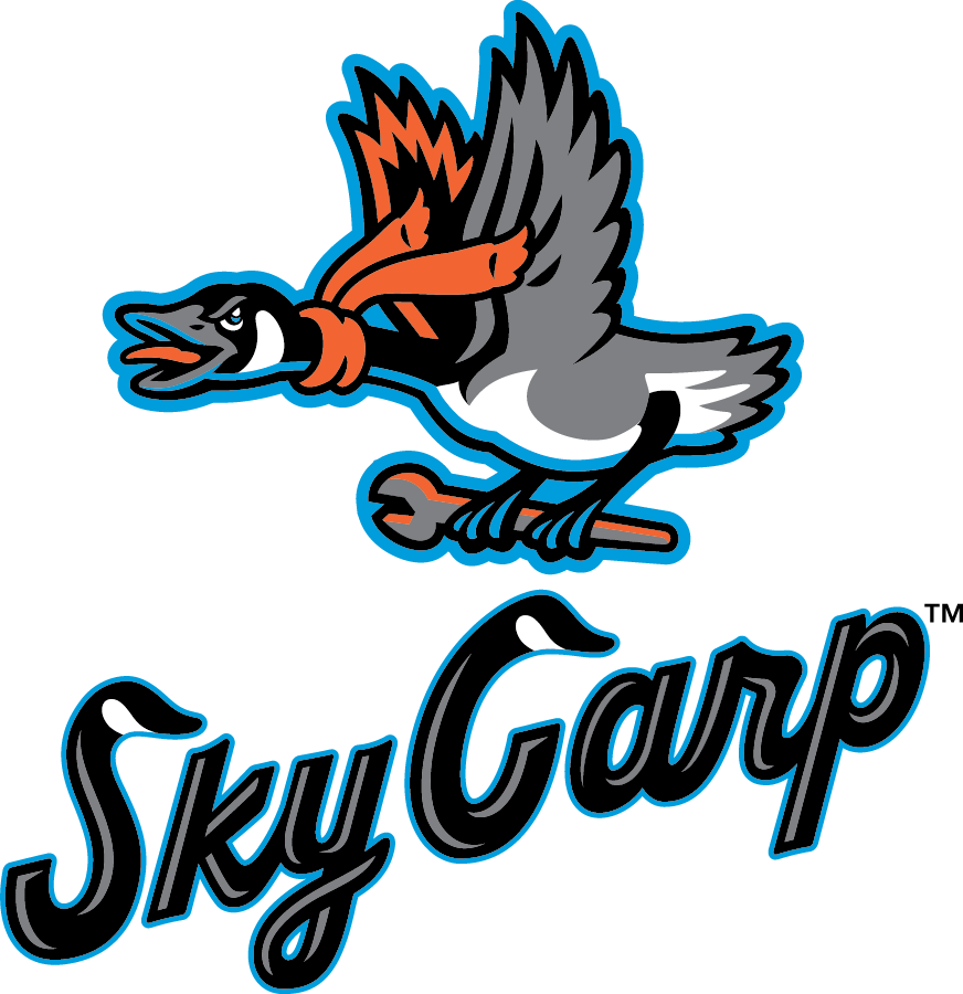 Team Logo
